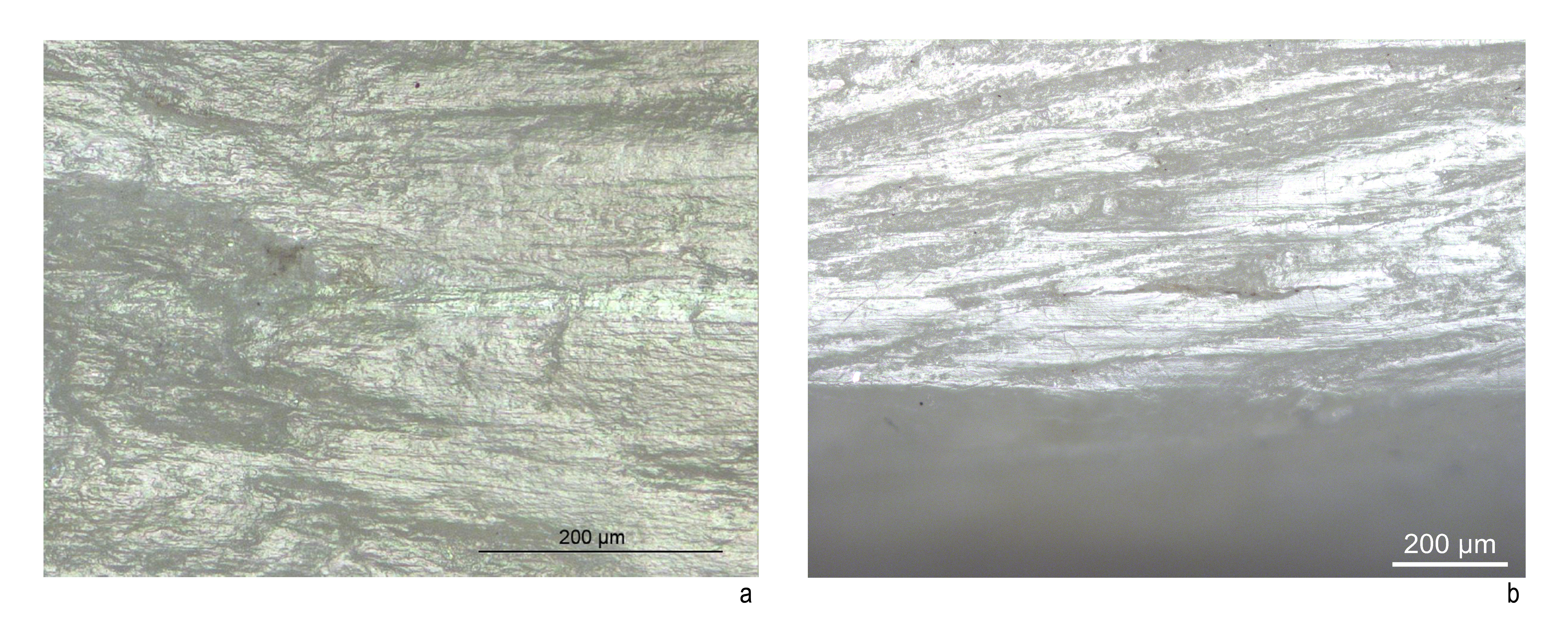 Figure 3 Kromotaroeno