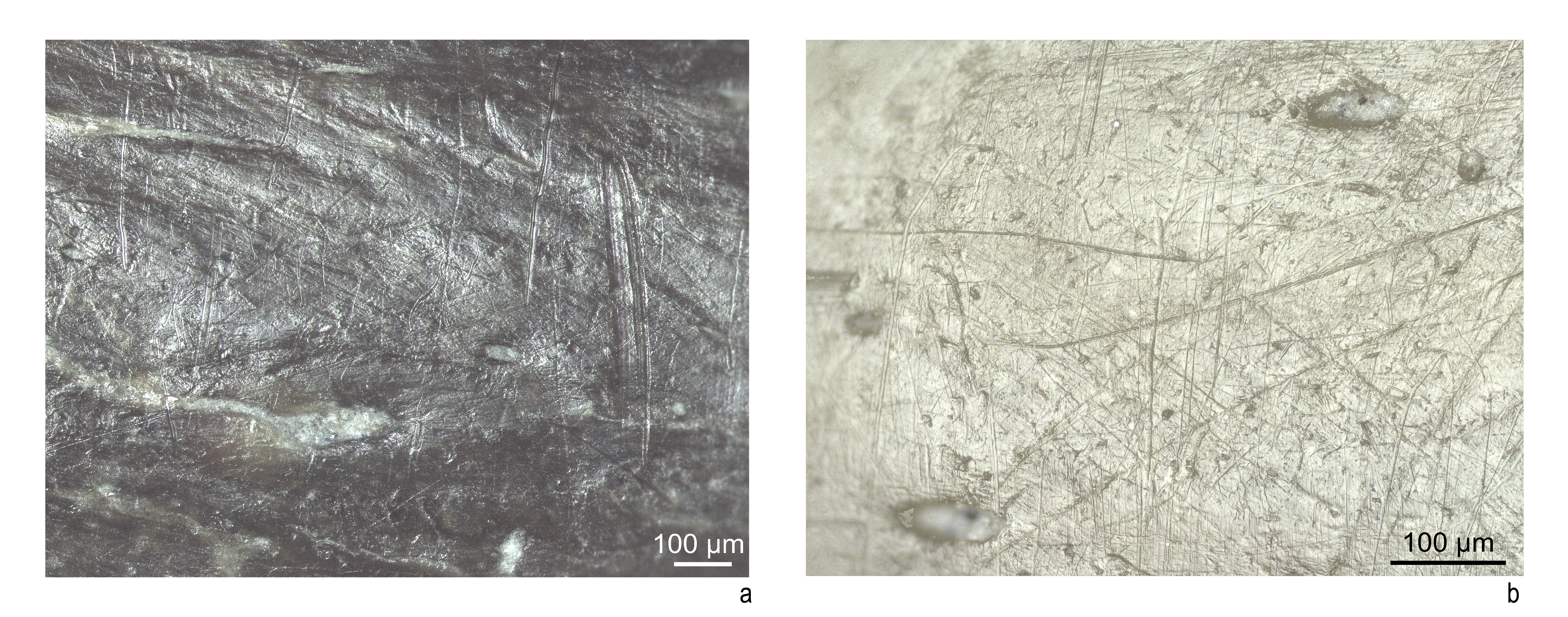 Figure 4 Kromotaroeno