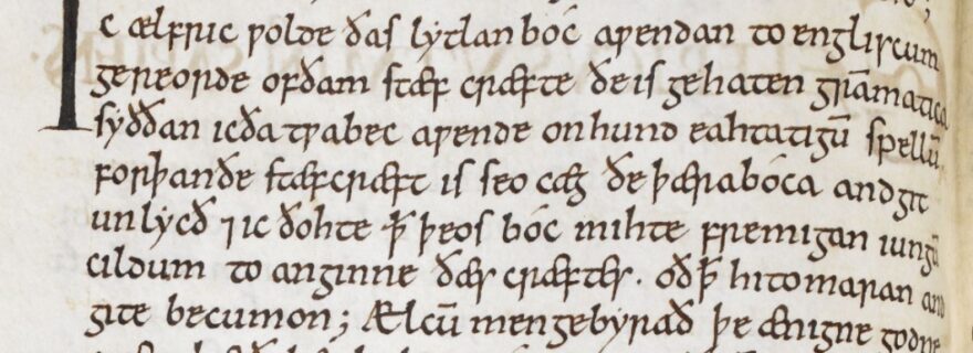Medieval Copying Gone Wrong? The Importance of Scribal Interference