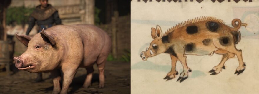 What’s wrong with medieval pigs in videogames?