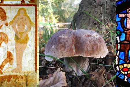Medieval Mushrooms