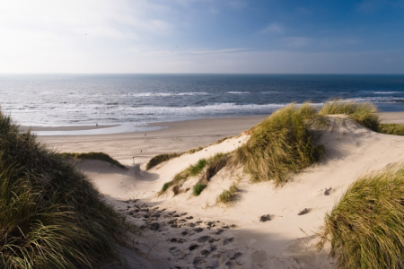 Dune protection and “environmental law” in late medieval Zeeland