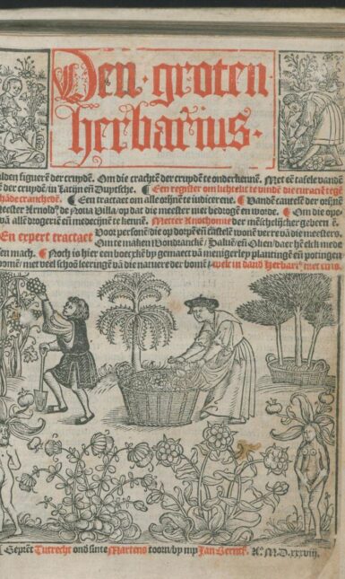 Blog fig 1 Herbarius 1538 titelblad