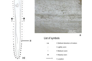 Figure 2 Kromotaroeno